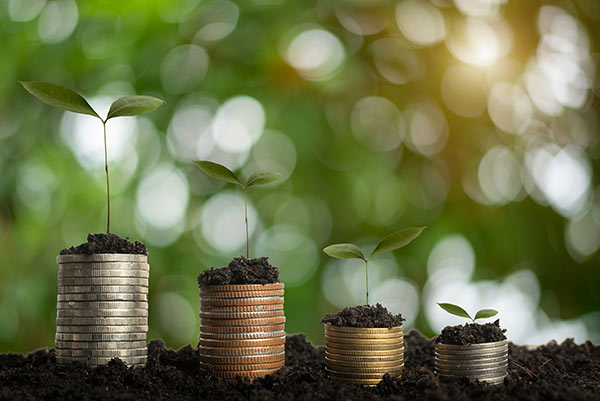 Stacks of coins lined up in increasing order of size, symbolizing growth